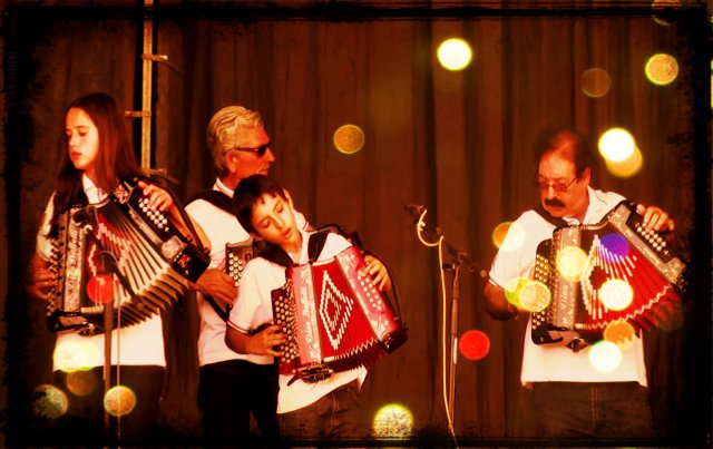 concertinas06a